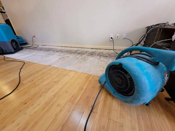 Professional Flood Damage Cleanup technician working in Kingston, MA